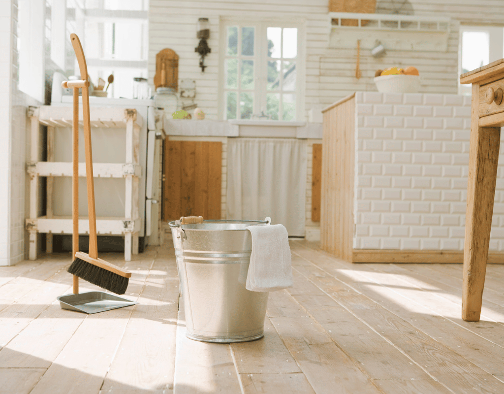 Recurring cleaning service for bright living rooms and maintained homes in New Castle County DE